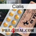 Cialis 41